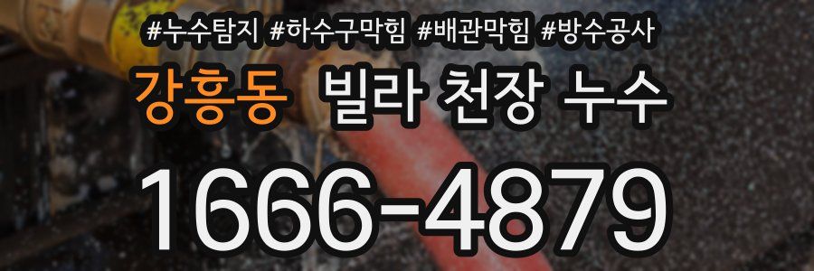 강흥동 빌라 천장 누수