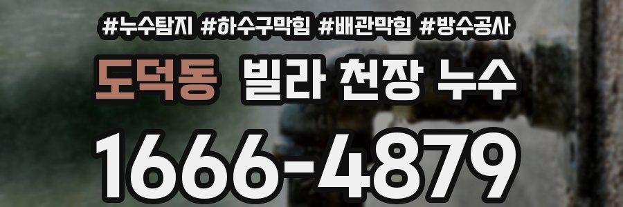 도덕동 빌라 천장 누수
