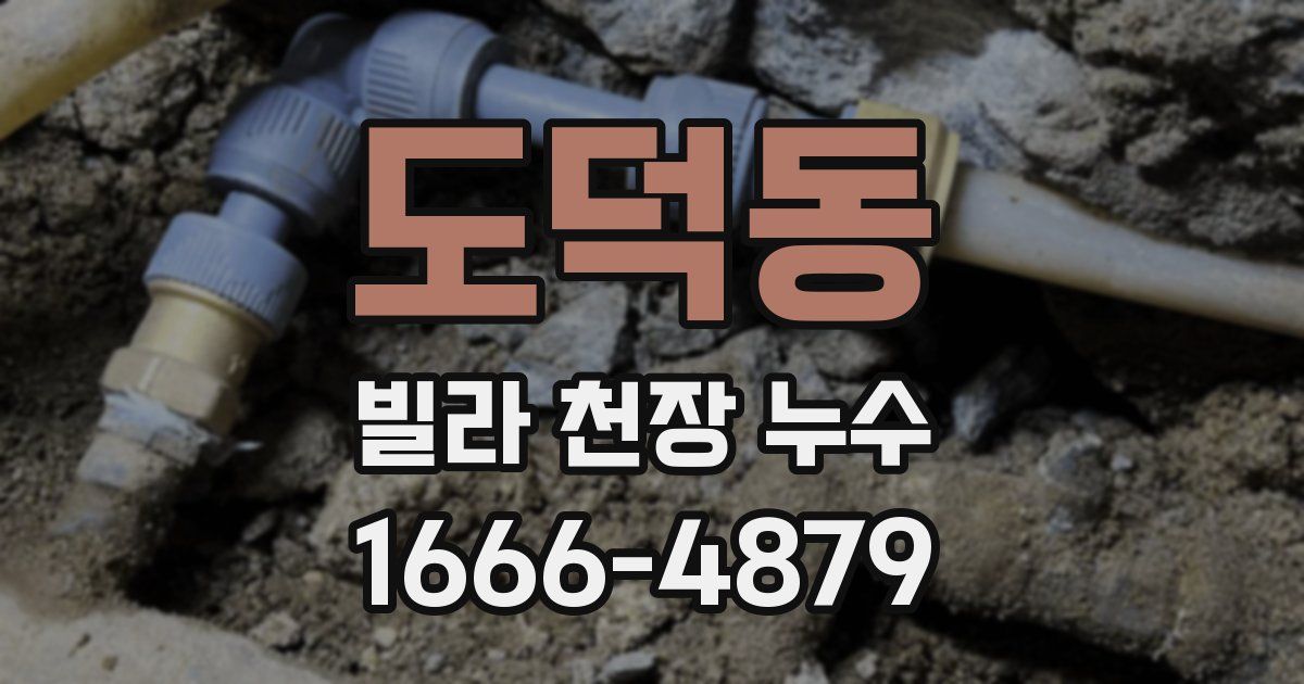 도덕동 빌라 천장 누수