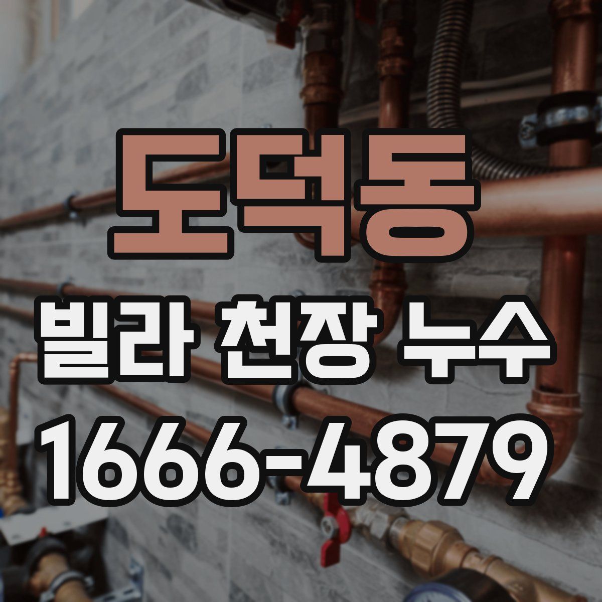 도덕동 빌라 천장 누수
