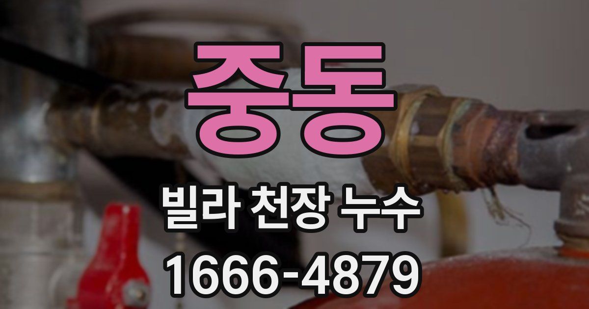 중동 빌라 천장 누수