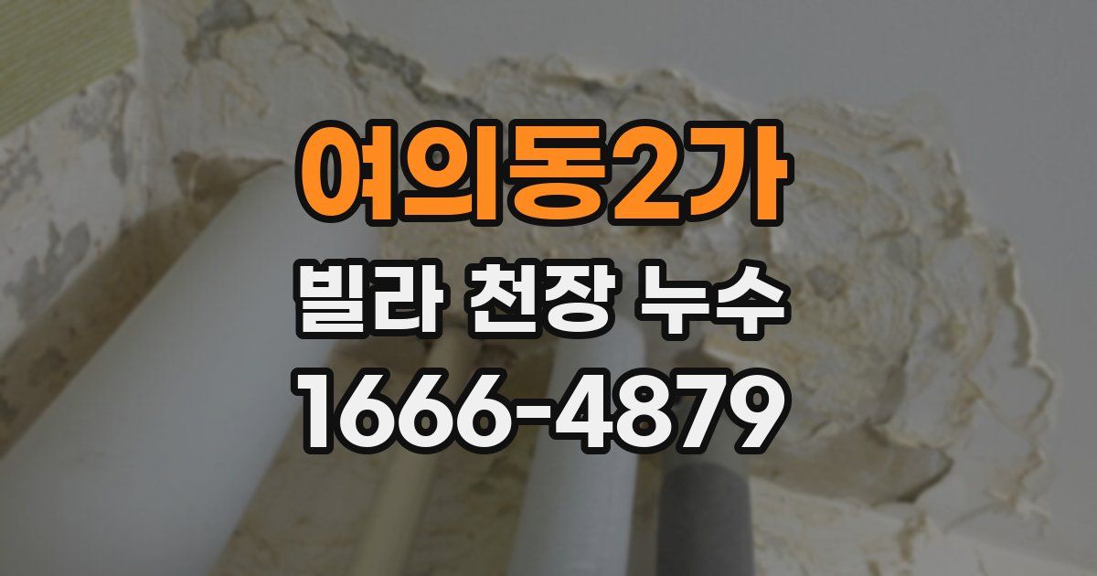 여의동2가 빌라 천장 누수