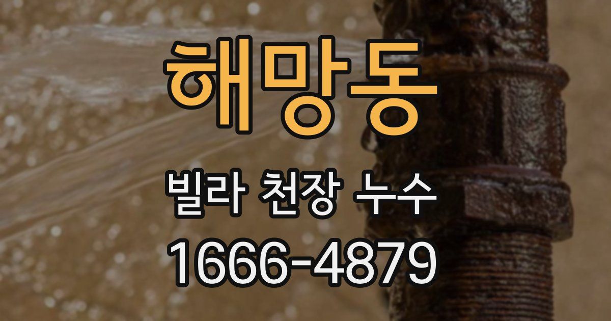 해망동 빌라 천장 누수