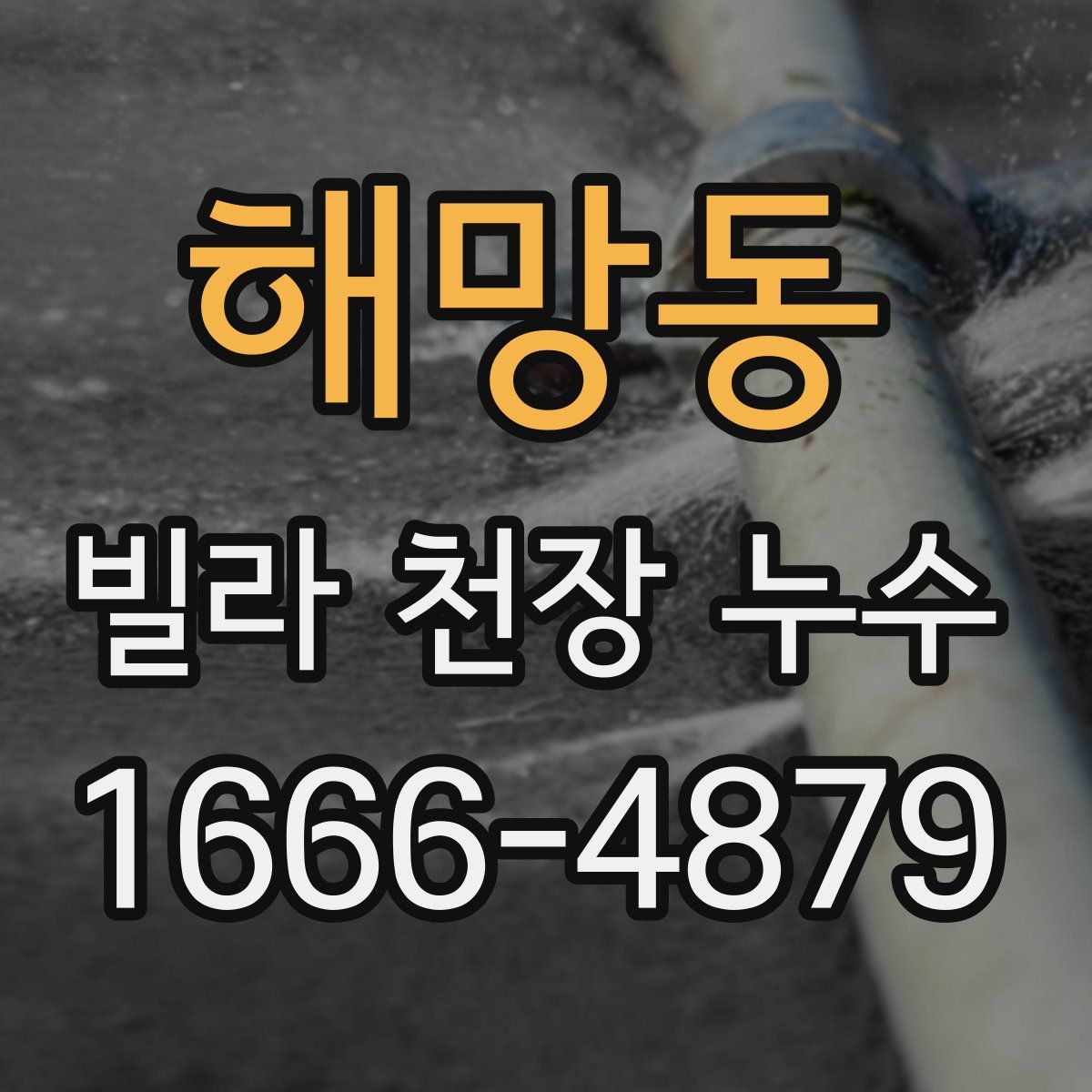 해망동 빌라 천장 누수