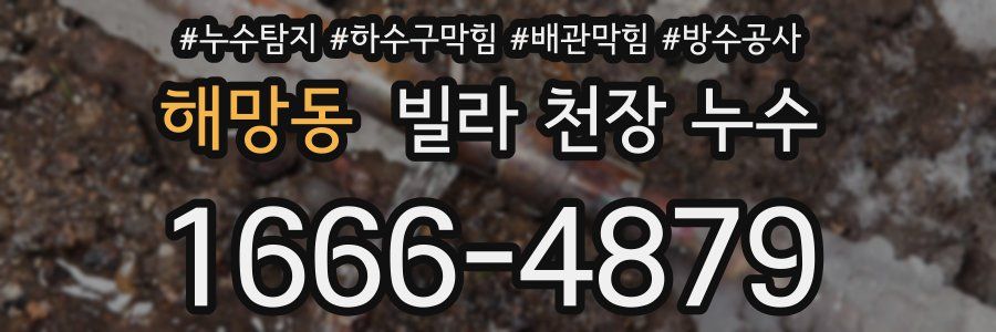 해망동 빌라 천장 누수