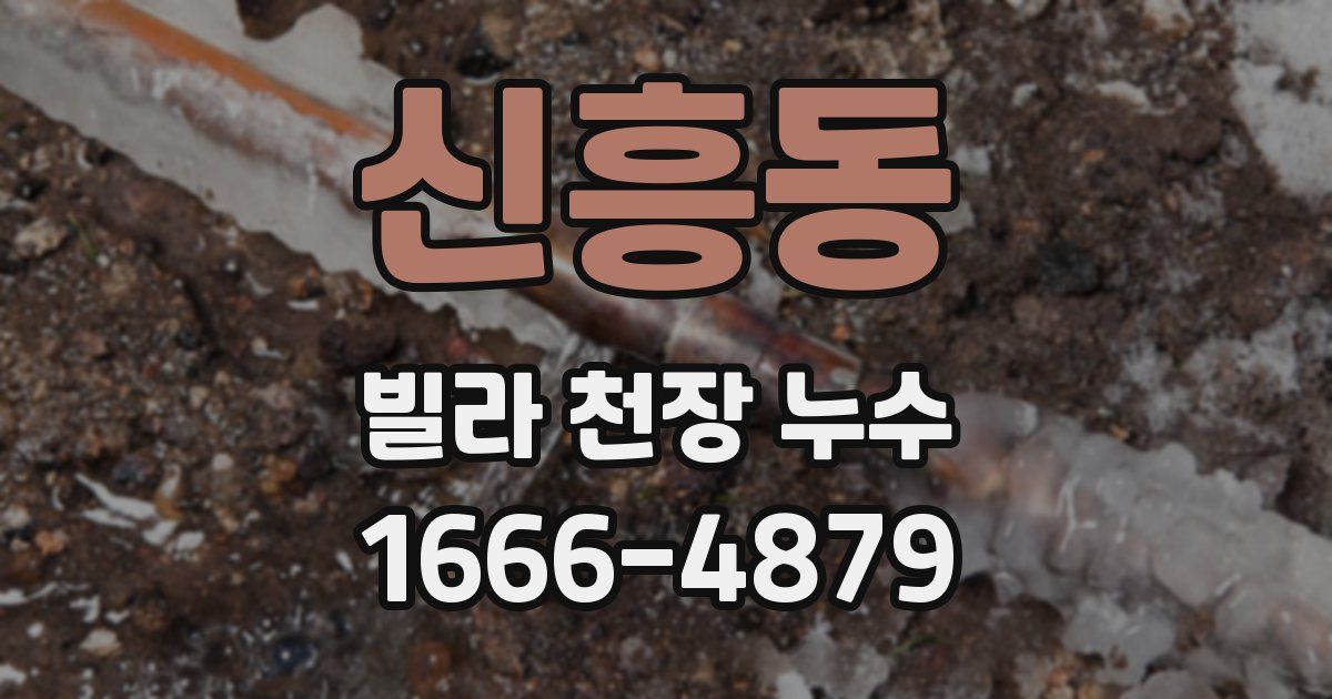 신흥동 빌라 천장 누수