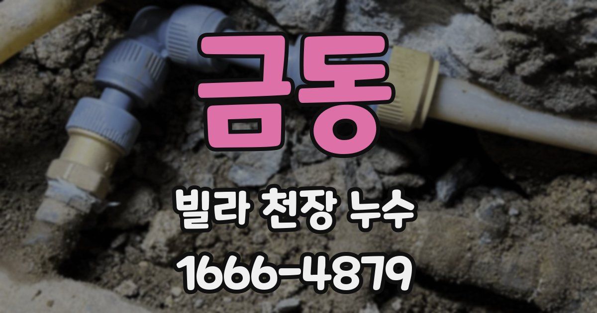 금동 빌라 천장 누수