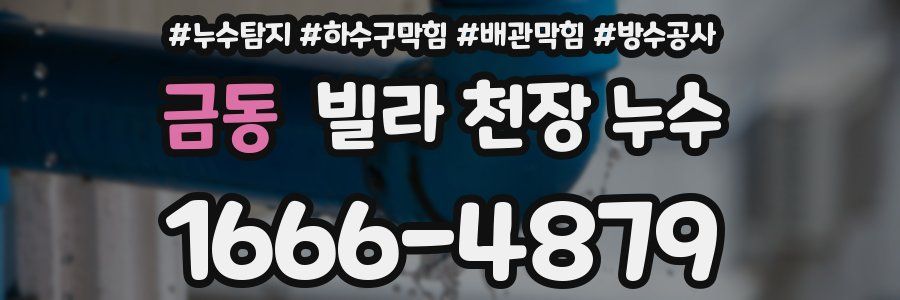 금동 빌라 천장 누수