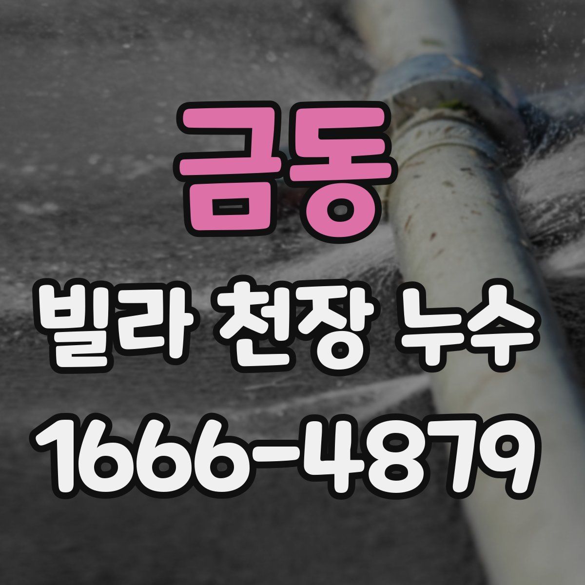 금동 빌라 천장 누수