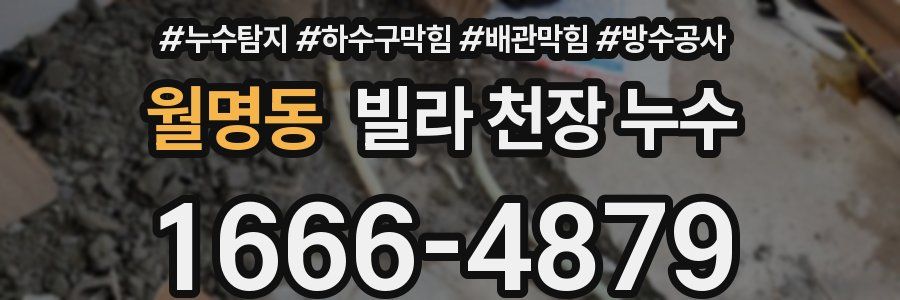월명동 빌라 천장 누수