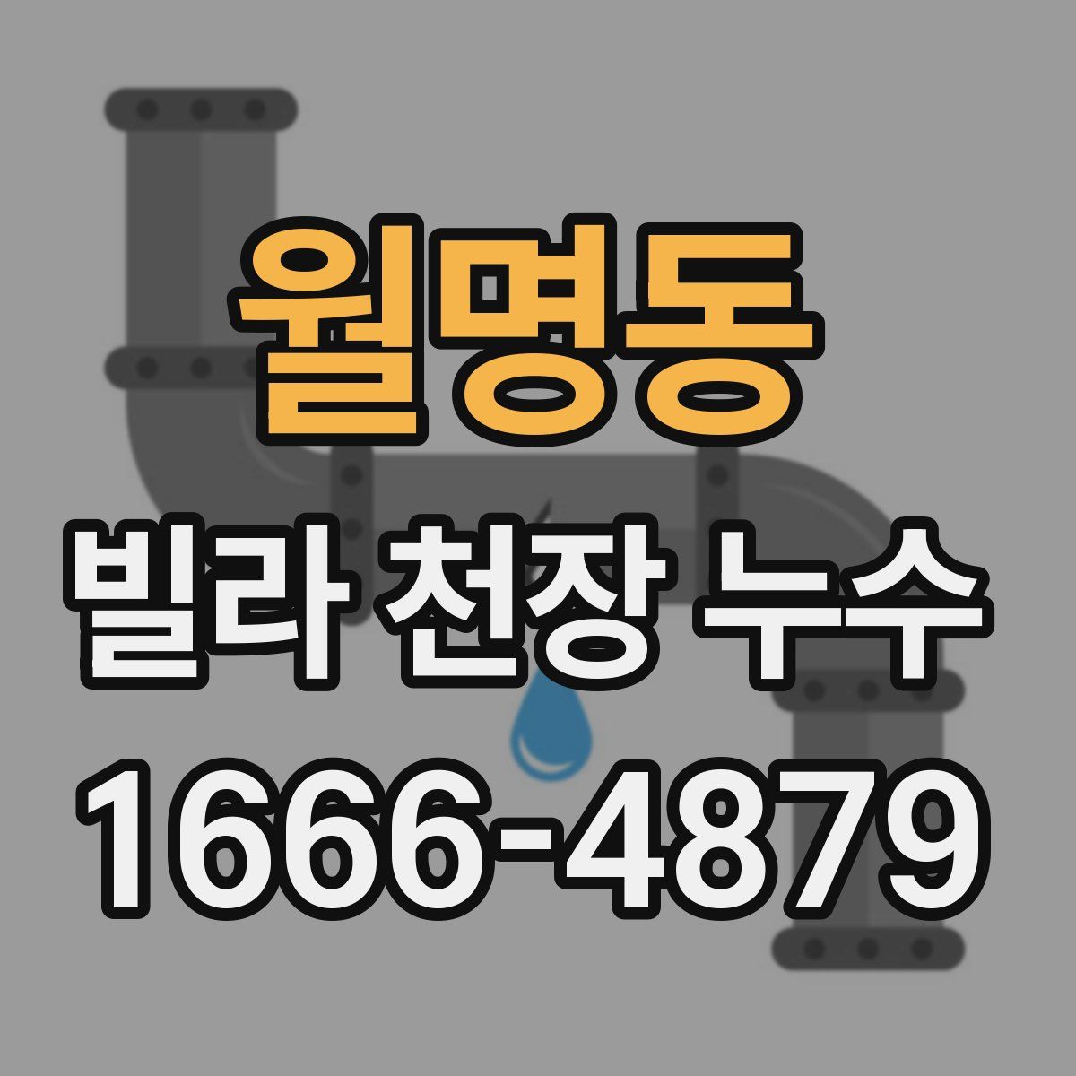 월명동 빌라 천장 누수