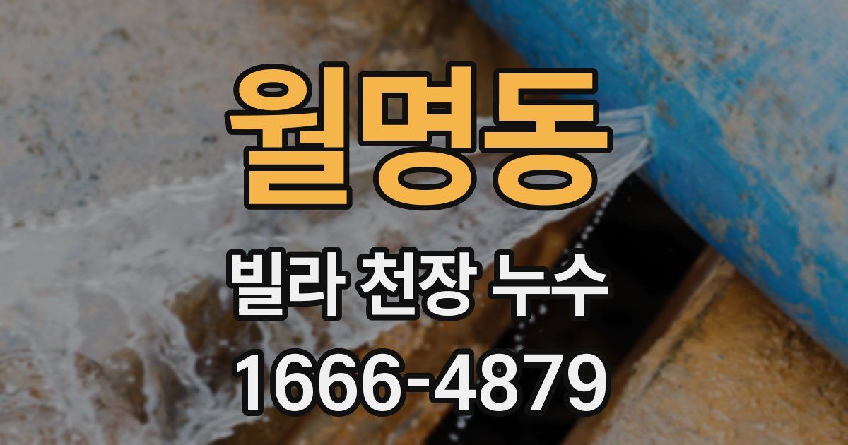 월명동 빌라 천장 누수