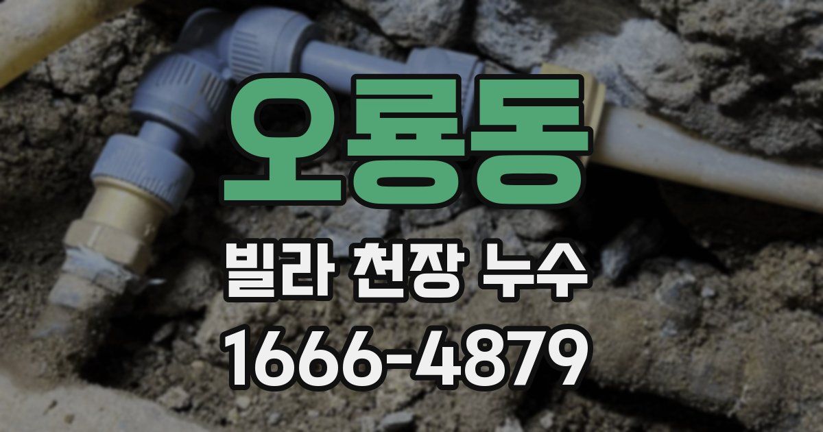 오룡동 빌라 천장 누수