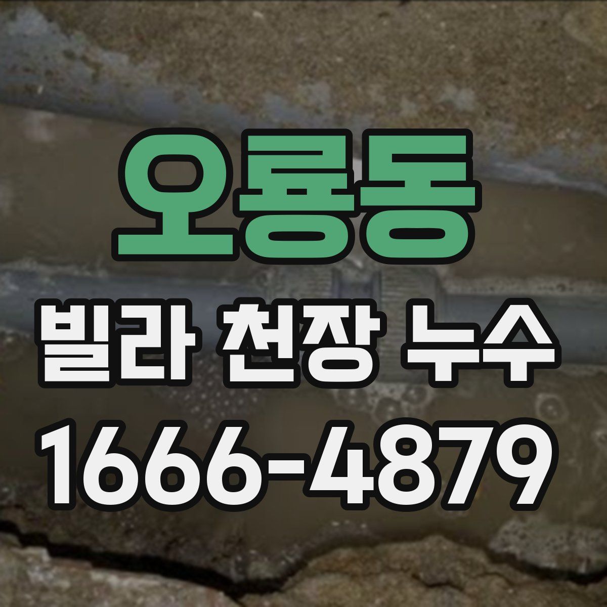 오룡동 빌라 천장 누수