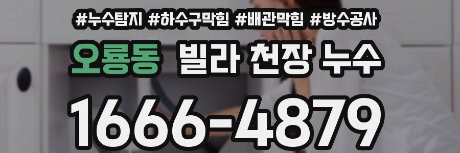 오룡동 빌라 천장 누수