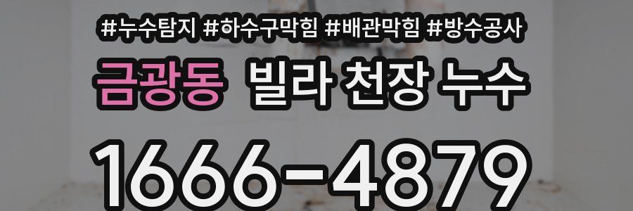 금광동 빌라 천장 누수