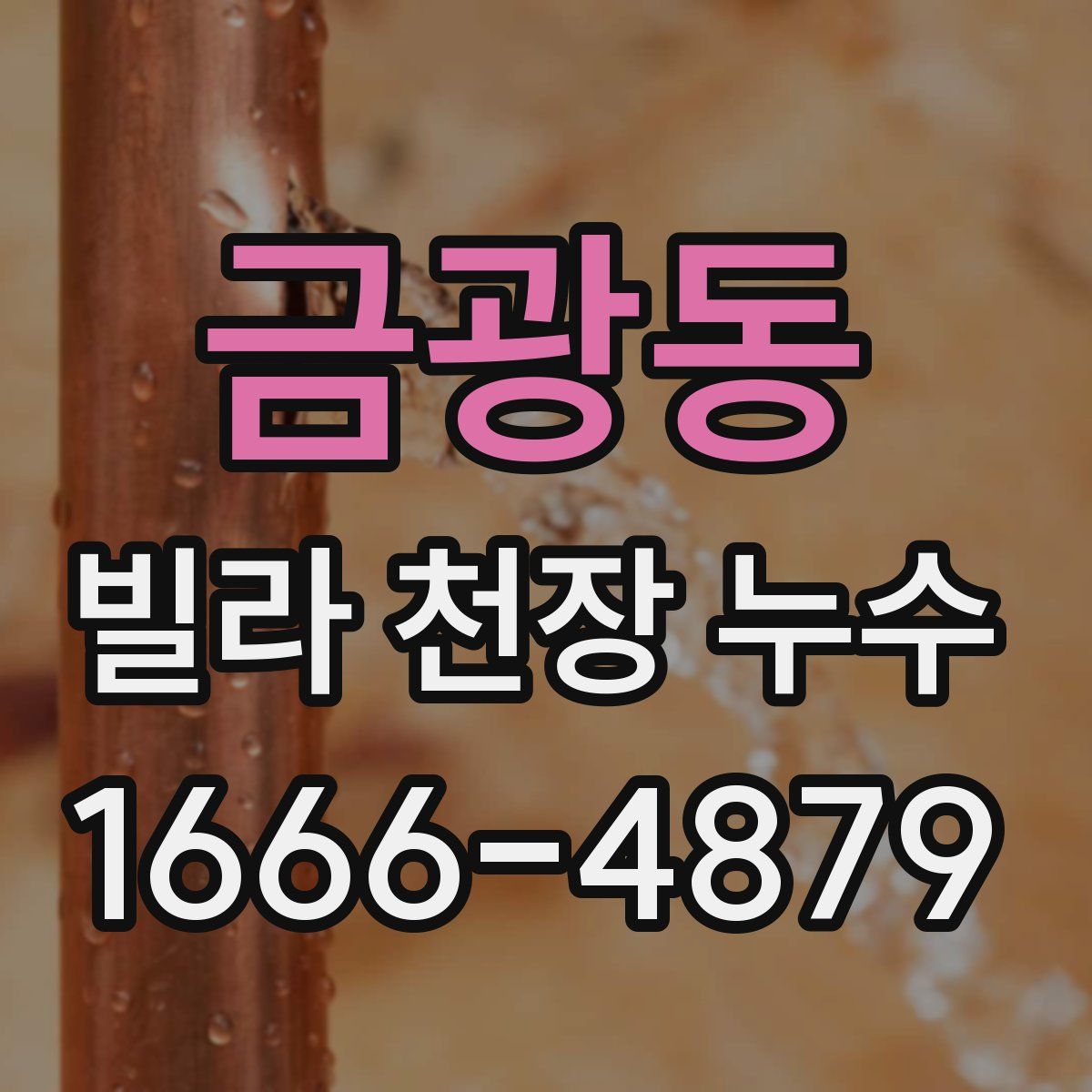 금광동 빌라 천장 누수