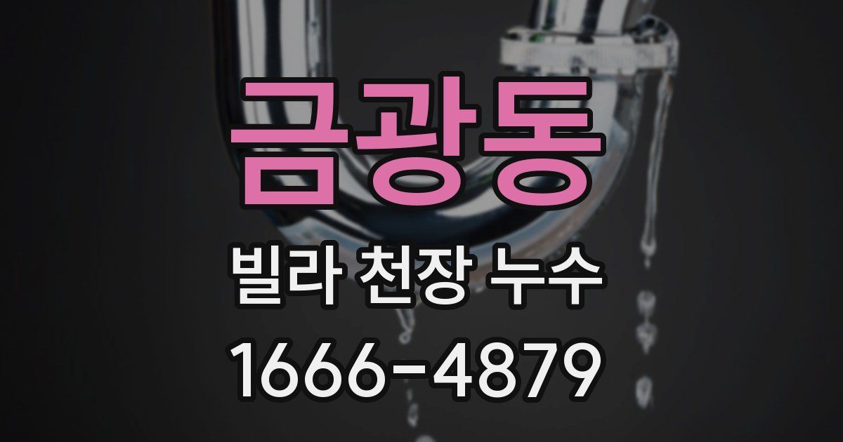금광동 빌라 천장 누수