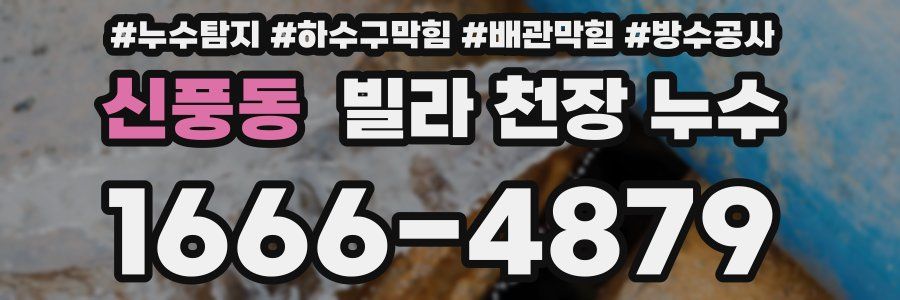 신풍동 빌라 천장 누수