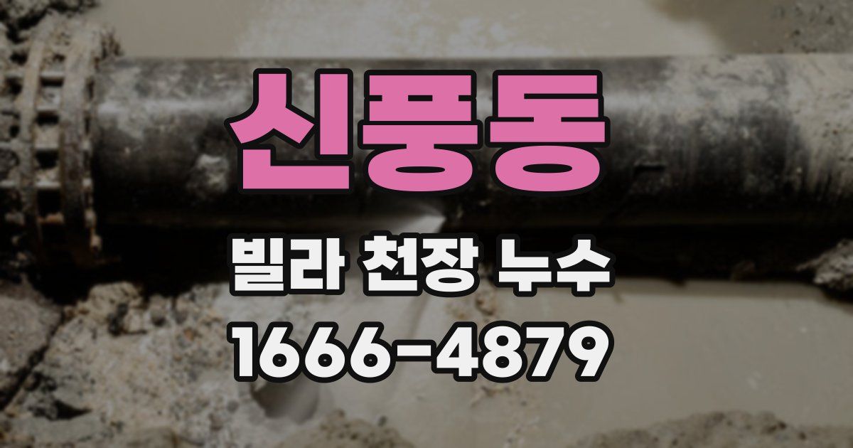 신풍동 빌라 천장 누수