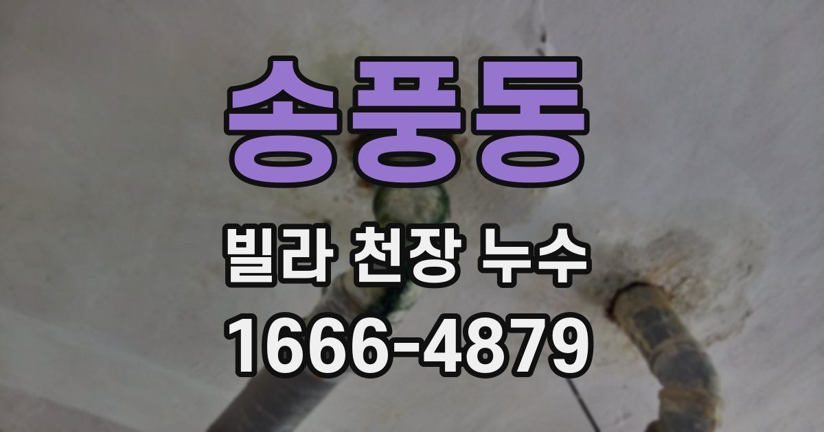 송풍동 빌라 천장 누수