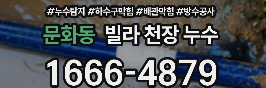 문화동 빌라 천장 누수