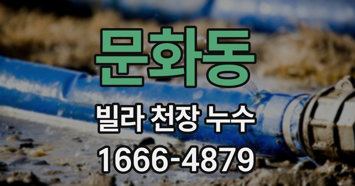 문화동 빌라 천장 누수