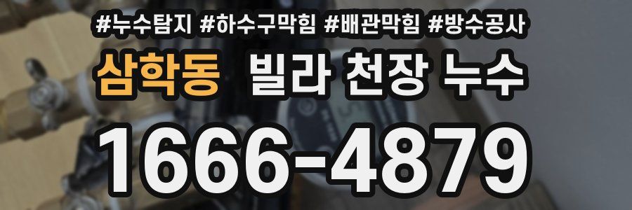 삼학동 빌라 천장 누수