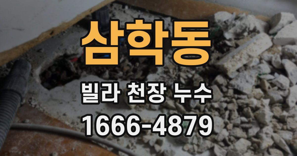 삼학동 빌라 천장 누수