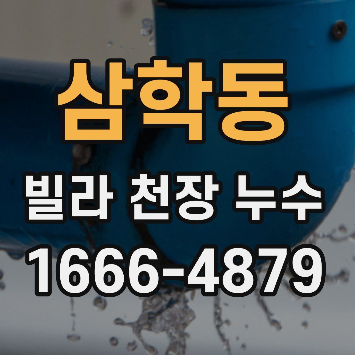 삼학동 빌라 천장 누수
