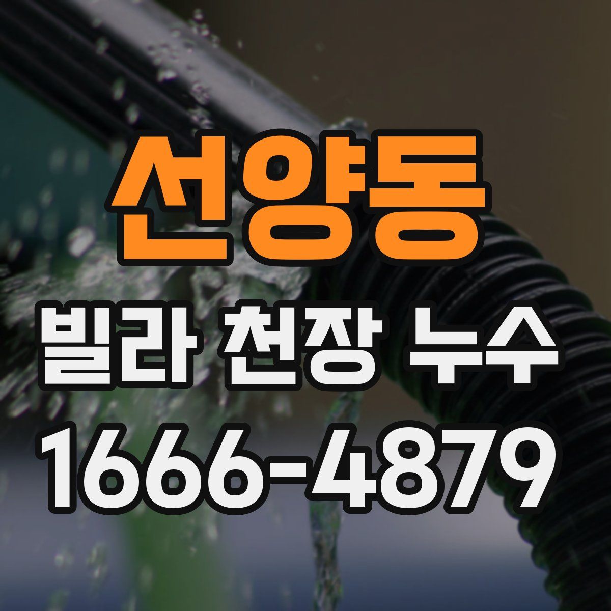 선양동 빌라 천장 누수