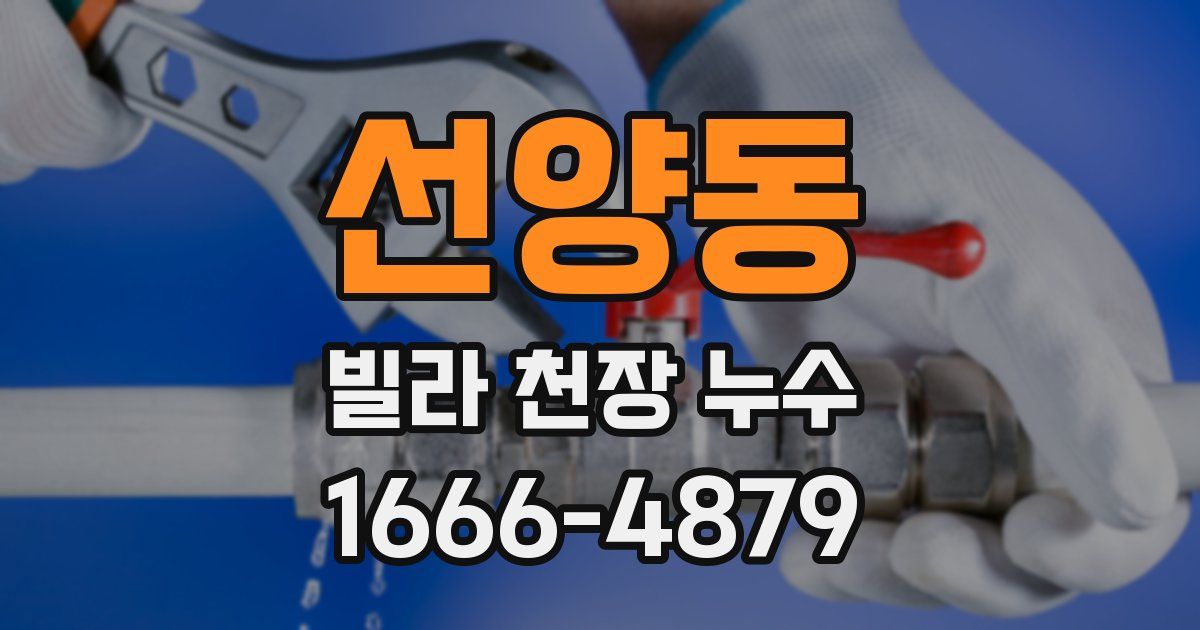 선양동 빌라 천장 누수