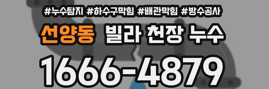 선양동 빌라 천장 누수