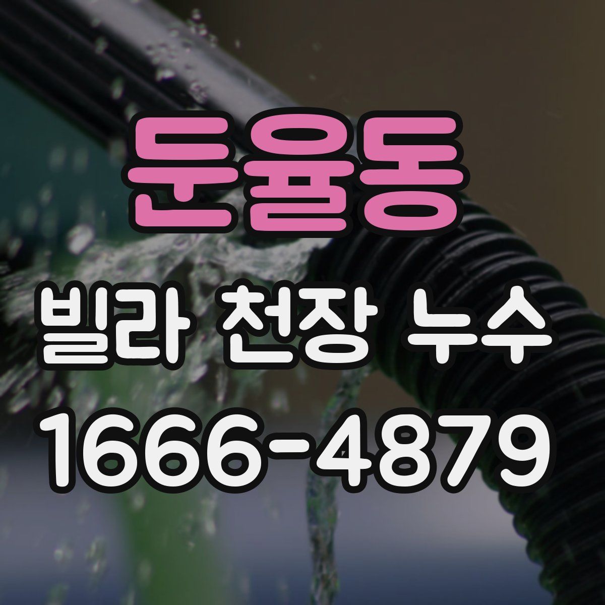 둔율동 빌라 천장 누수