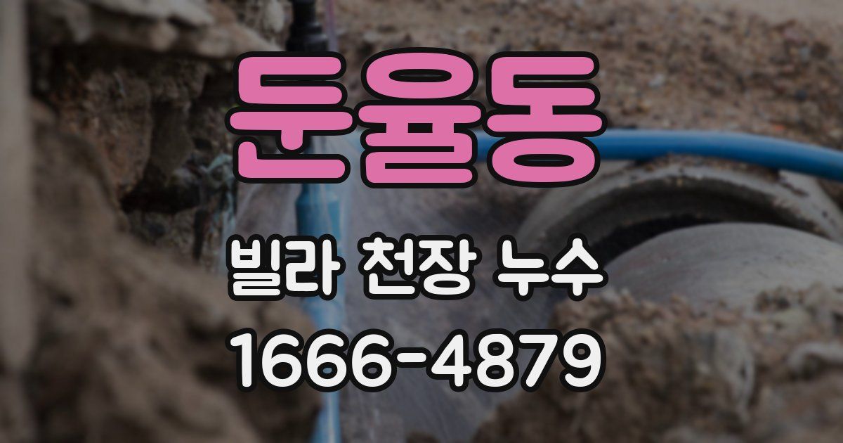 둔율동 빌라 천장 누수
