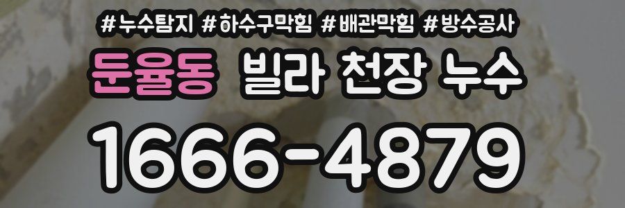 둔율동 빌라 천장 누수