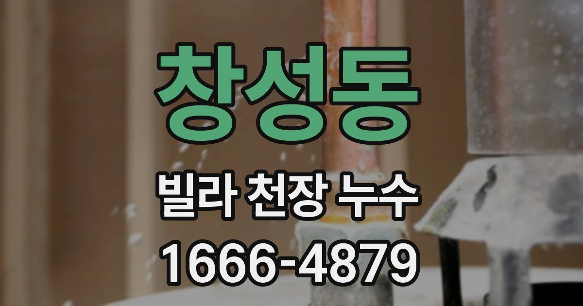 창성동 빌라 천장 누수