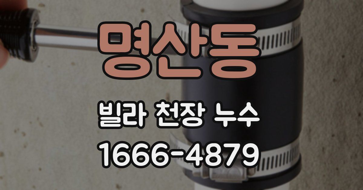 명산동 빌라 천장 누수