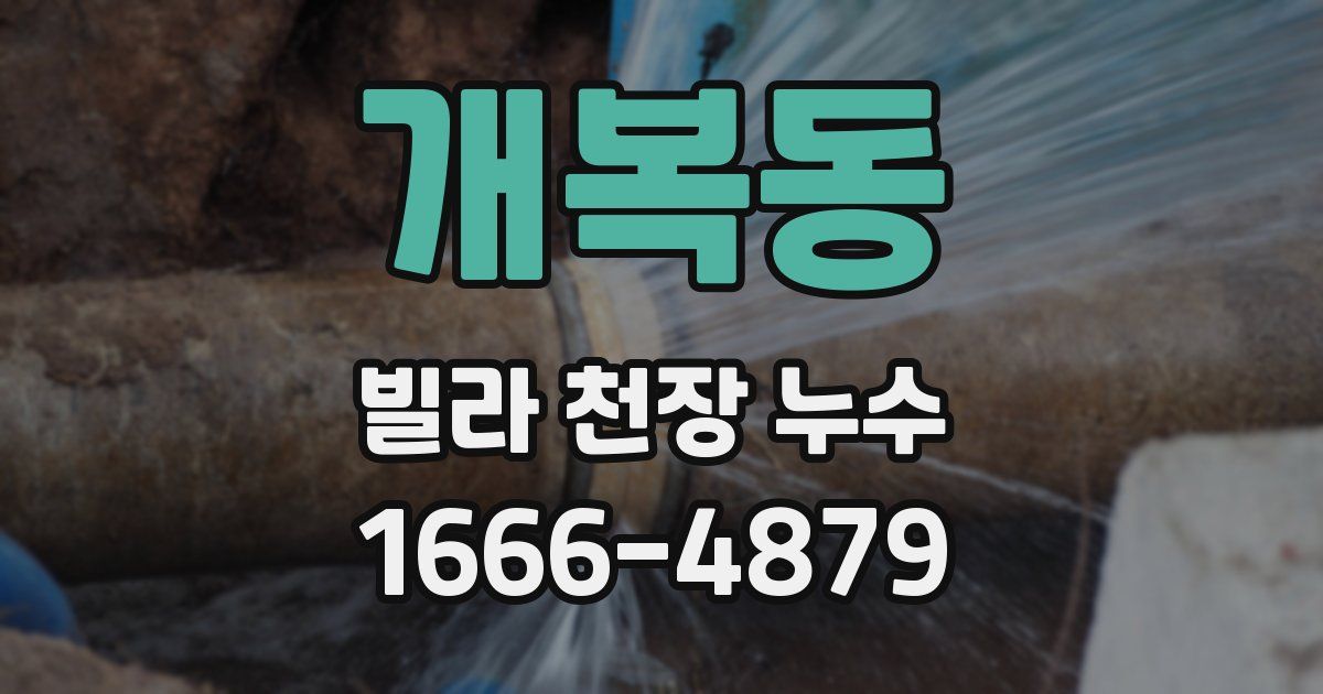 개복동 빌라 천장 누수