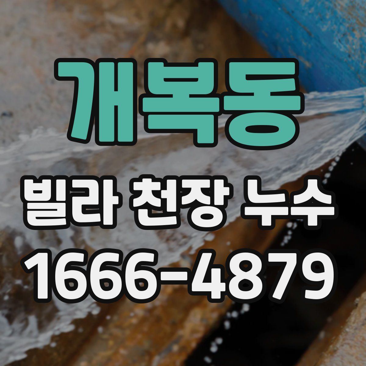 개복동 빌라 천장 누수