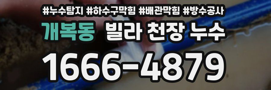 개복동 빌라 천장 누수
