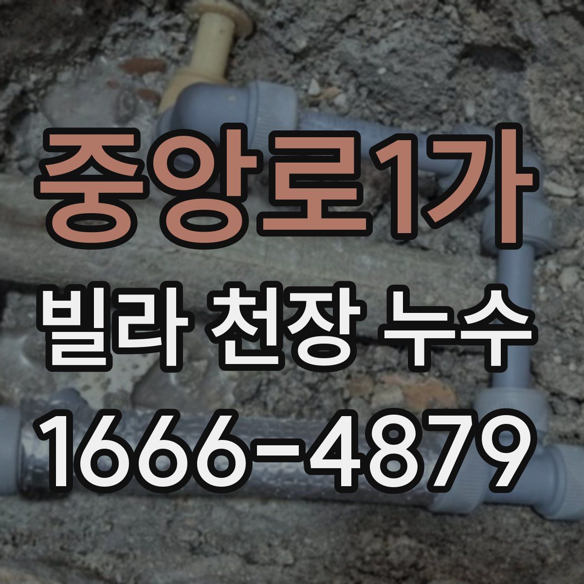 중앙로1가 빌라 천장 누수