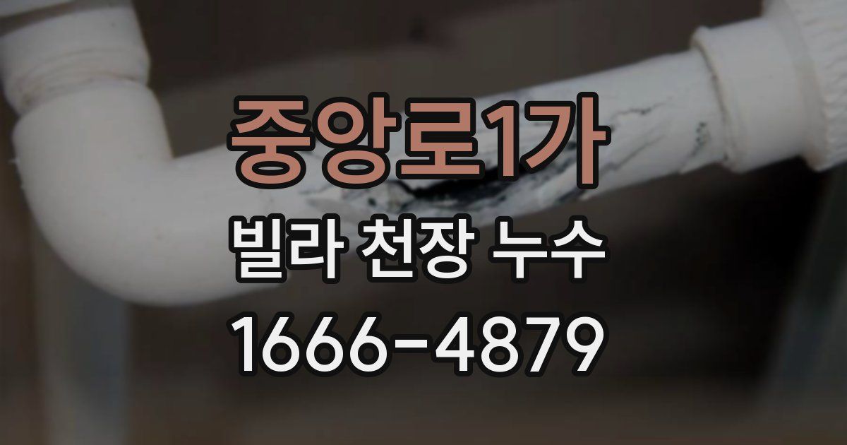 중앙로1가 빌라 천장 누수