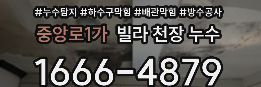 중앙로1가 빌라 천장 누수