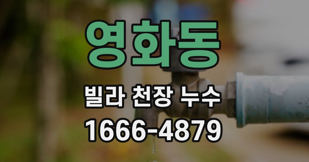 영화동 빌라 천장 누수