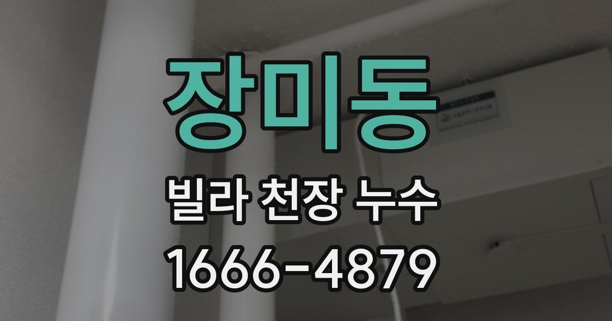 장미동 빌라 천장 누수