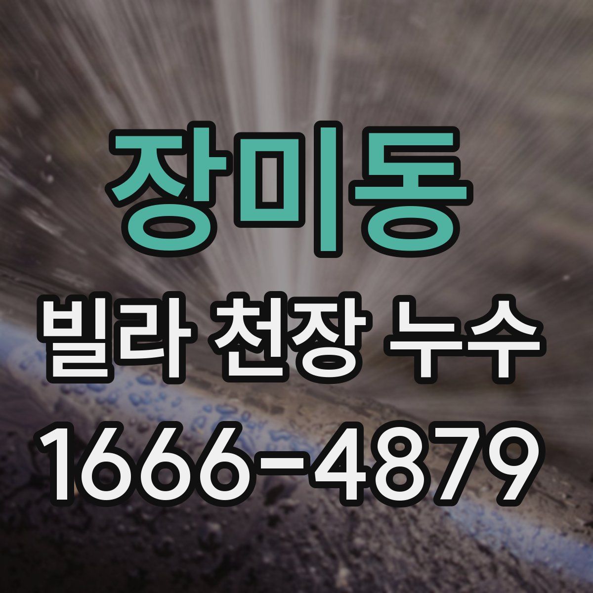 장미동 빌라 천장 누수
