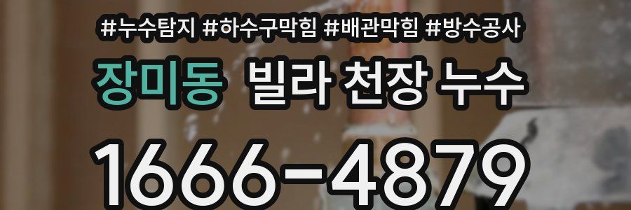 장미동 빌라 천장 누수