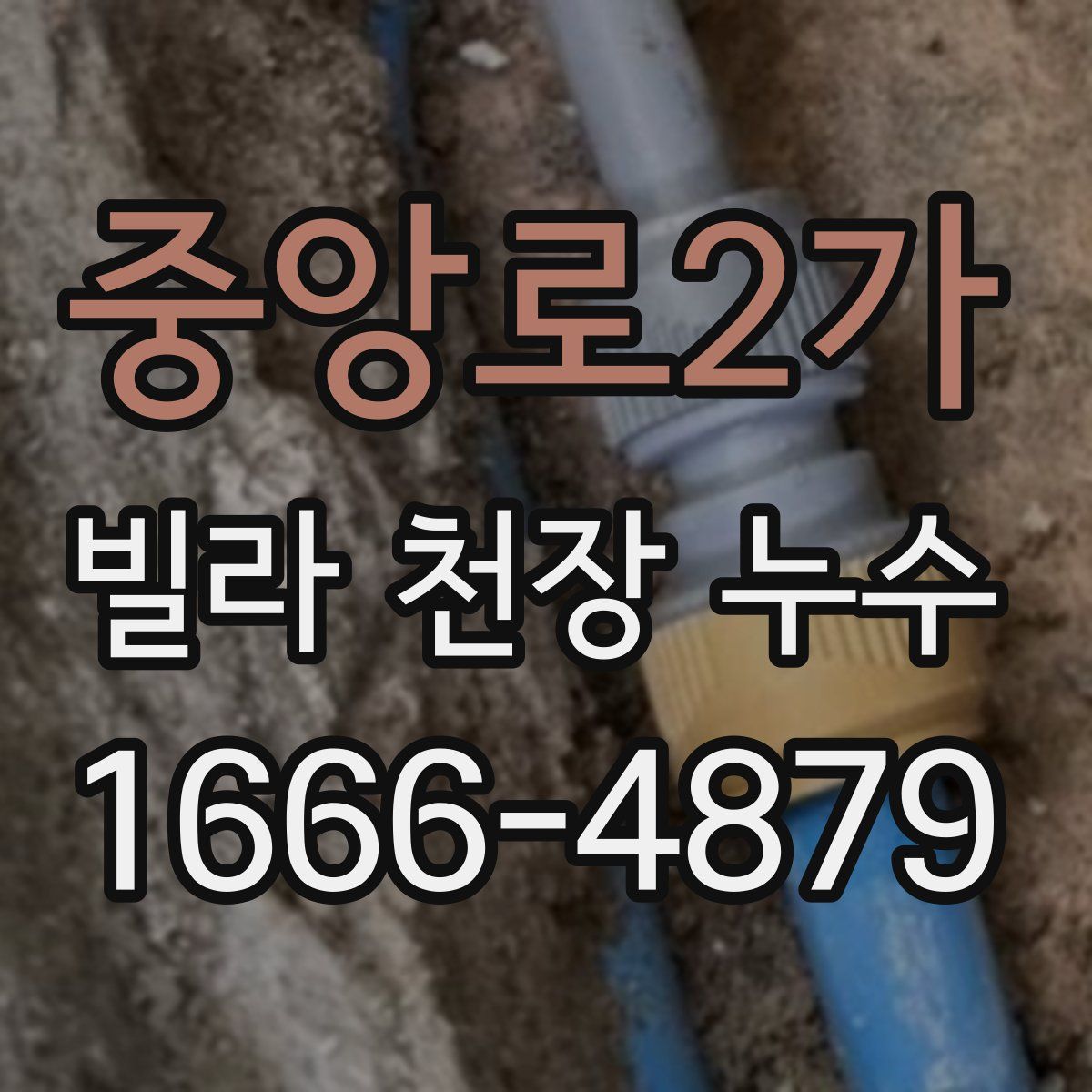 중앙로2가 빌라 천장 누수