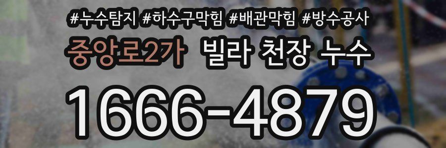 중앙로2가 빌라 천장 누수